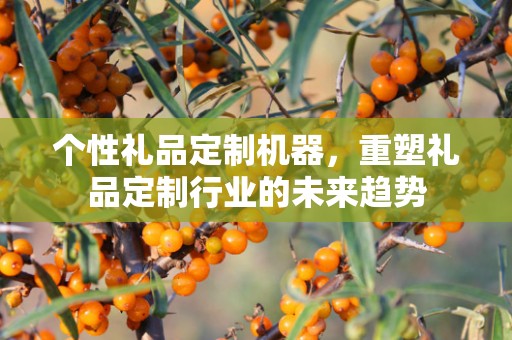 个性礼品定制机器，重塑礼品定制行业的未来趋势