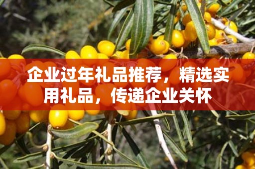 企业过年礼品推荐，精选实用礼品，传递企业关怀